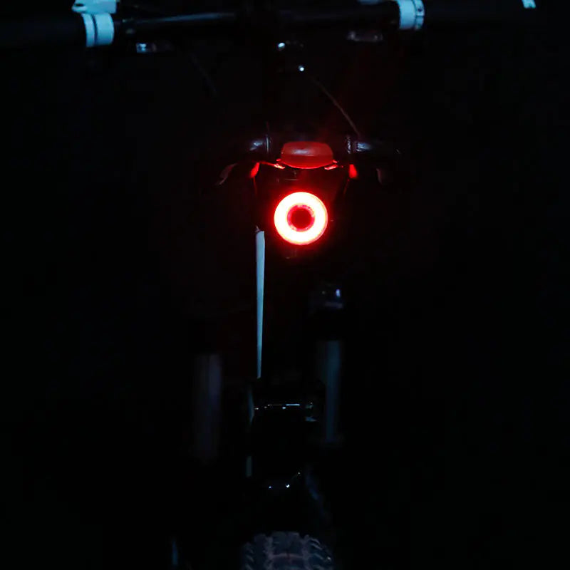 XLite100 Waterproof Smart Bicycle Tail Light with USB Charging